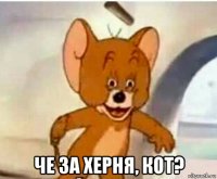  че за херня, кот?