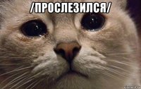 /прослезился/ 