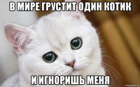 в мире грустит один котик и игноришь меня