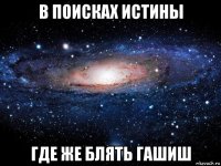 в поисках истины где же блять гашиш