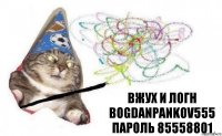 вжух и Логн Bogdanpankov555 Пароль 85558801