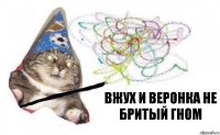 вжух и Веронка не бритый гном