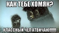 как тебе хомяк? классный чел атвичаю!!!!!!