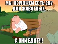 мы не можем есть еду для животных. а они едят!!!