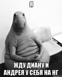 я жду диану и андрея у себя на нг