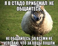 я в стадо прибежал: не общайтесь, не общайтесь, за всеми не успеваю, что за овцы пошли