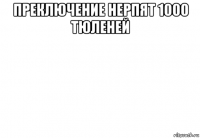 преключение нерпят 1000 тюленей 