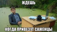 ждешь когда привезут саженцы