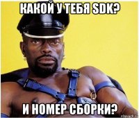 какой у тебя sdk? и номер сборки?