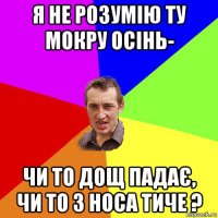 я не розумію ту мокру осінь- чи то дощ падає, чи то з носа тиче ?