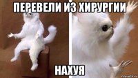 перевели из хирургии нахуя