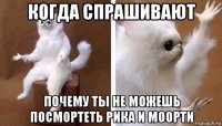 когда спрашивают почему ты не можешь посмортеть рика и моорти