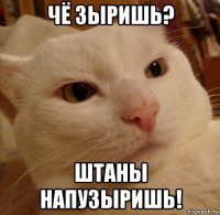 чё зыришь? штаны напузыришь!