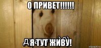 о привет!!!!!! я тут живу!