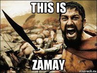 this is zamay