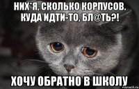 них*я, сколько корпусов. куда идти-то, бл@ть?! хочу обратно в школу