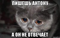 пишешь антону а он не отвечает