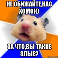 не обижайте,нас хомок) за что,вы такие злые?