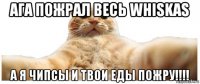 ага пожрал весь whiskas а я чипсы и твои еды пожру!!!!