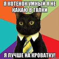 я котенок умный я не какаю в тапки я лучше на кроватку!