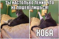 ты настолько ленив что не пошевелишься! 