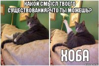 какой смысл твоего существования?что ты можешь? 