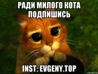 ради милого кота подпишись inst: evgeny.top