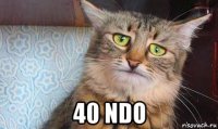  40 ndo