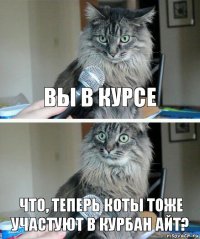 Вы в курсе Что, теперь коты тоже участуют в Курбан айт?