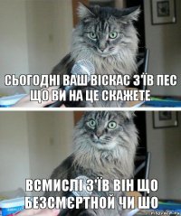 Сьогодні ваш віскас з'їв пес що ви на це скажете Всмислі з'їв він що безсмєртной чи шо