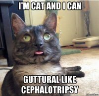 i'm cat and i can guttural like cephalotripsy