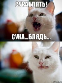 сукаблять! сука...блядь...