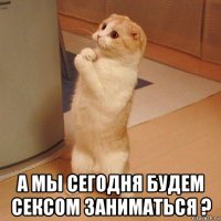  а мы сегодня будем сексом заниматься ?