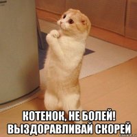  котенок, не болей! выздоравливай скорей