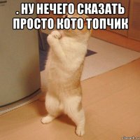 . ну нечего сказать просто кото топчик 