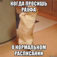 когда просишь рауфа о нормальном расписании