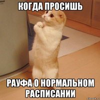 когда просишь рауфа о нормальном расписании