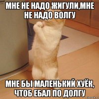 мне не надо жигули,мне не надо волгу мне бы маленький хуёк, чтоб ебал по долгу