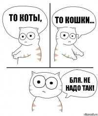 то коты, то кошки... бля. не надо так!