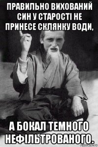 правильно вихований син у старості не принесе склянку води, а бокал темного нефільтрованого.