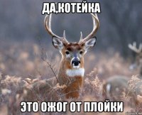 да,котейка это ожог от плойки