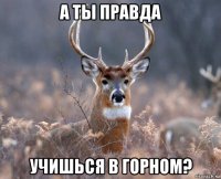 а ты правда учишься в горном?