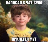 написал в чат-сука прилетел мут