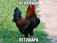 не крякай петушара