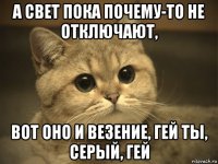 а свет пока почему-то не отключают, вот оно и везение, гей ты, серый, гей