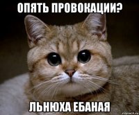 опять провокации? льнюха ебаная