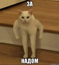 за надом