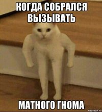 когда собрался вызывать матного гнома