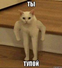 ты тупой