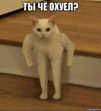 ты чё охуел? 